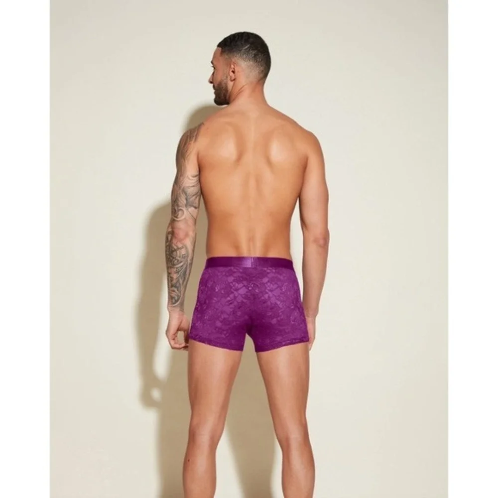 Cosabella Never Say Never Lace Classic Trunk Boxer Brief Swiss Beet size L NWT